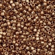 Miyuki delica Beads 11/0 - Metallic light bronze DB-22L